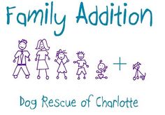 family addition dog rescue charlotte nc
