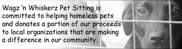 pet sitting with a purpose donate homeless pet shelter