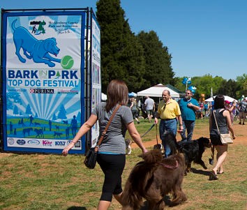 bark in the park image