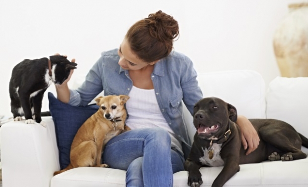 pet sitter and dogs